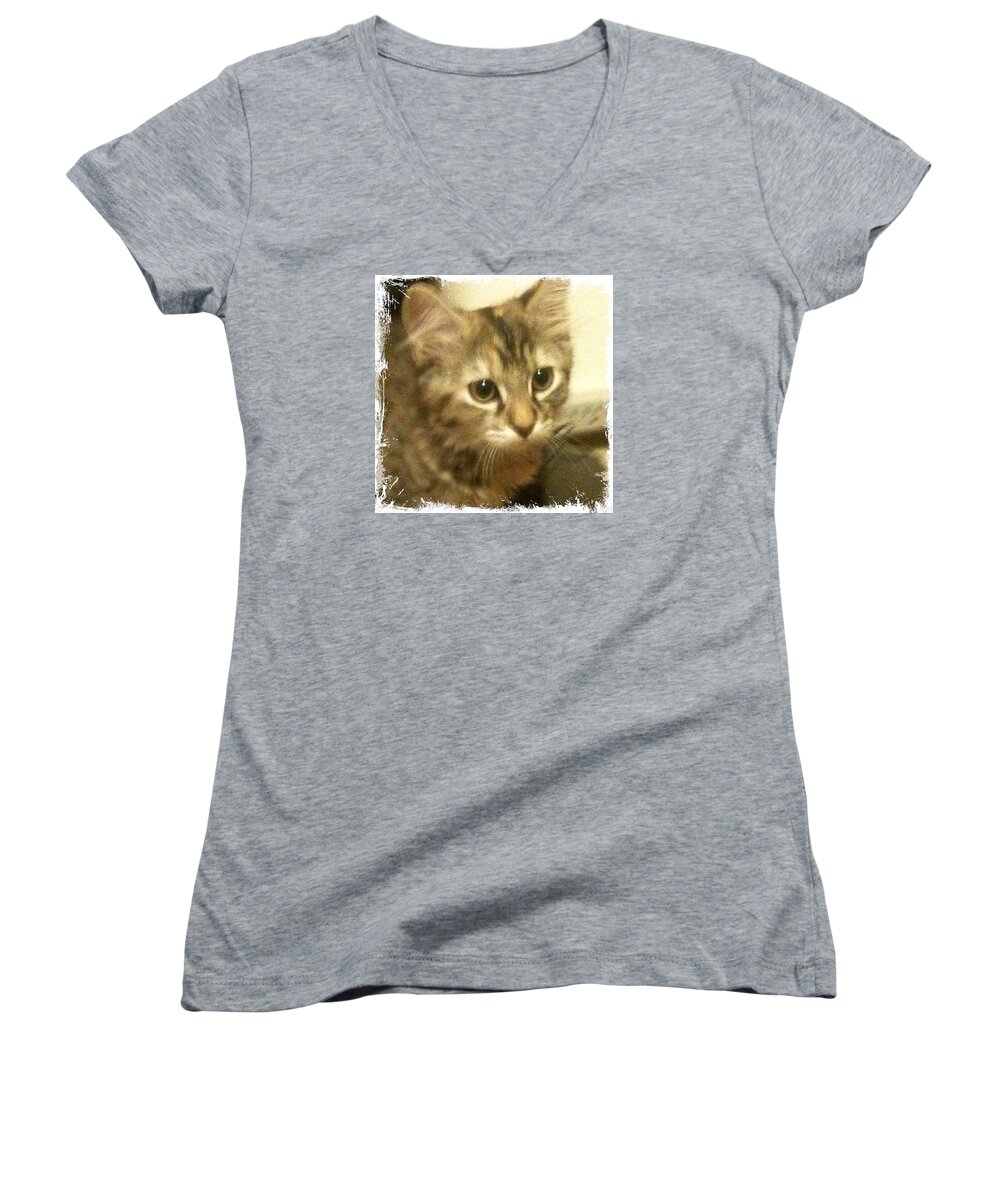 Ellie Kitty Women's V-Neck featuring the photograph Ellie Kitty by Anna Porter