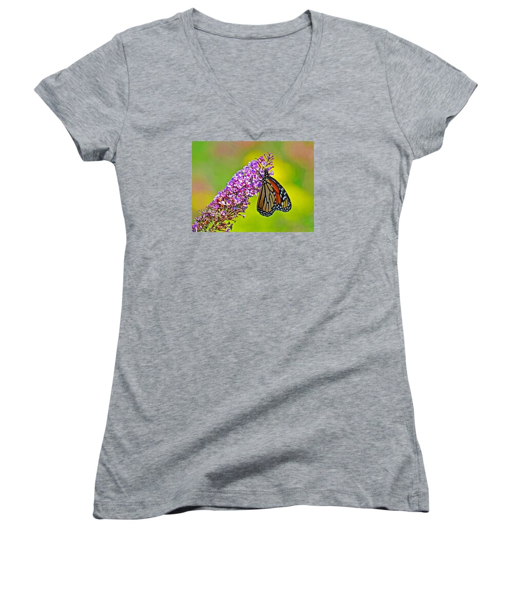 Monarch Women's V-Neck featuring the photograph Monarch Butterfly #1 by Rodney Campbell