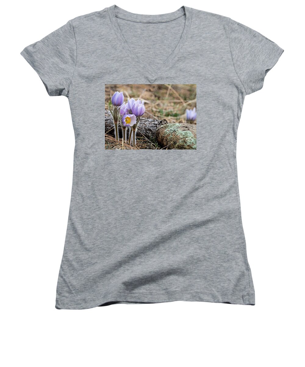 Pasque Women's V-Neck featuring the photograph Pasque Flower #1 by Dawn Key