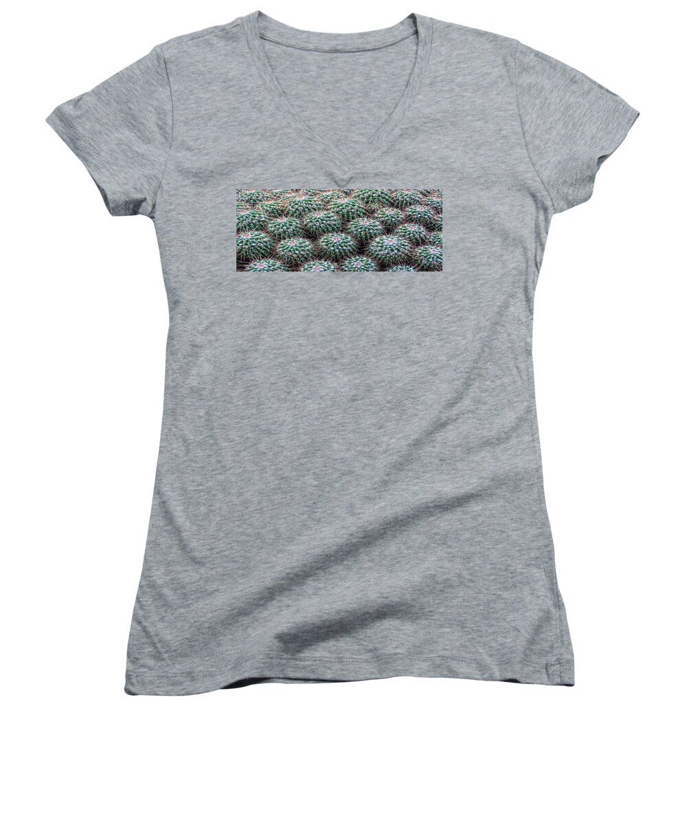 Plant Women's V-Neck featuring the photograph Pincushion Cactus #2 by Pat Cook
