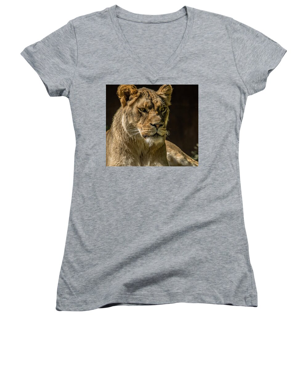 Lioness Women's V-Neck featuring the photograph Queen Of Lions by Yeates Photography