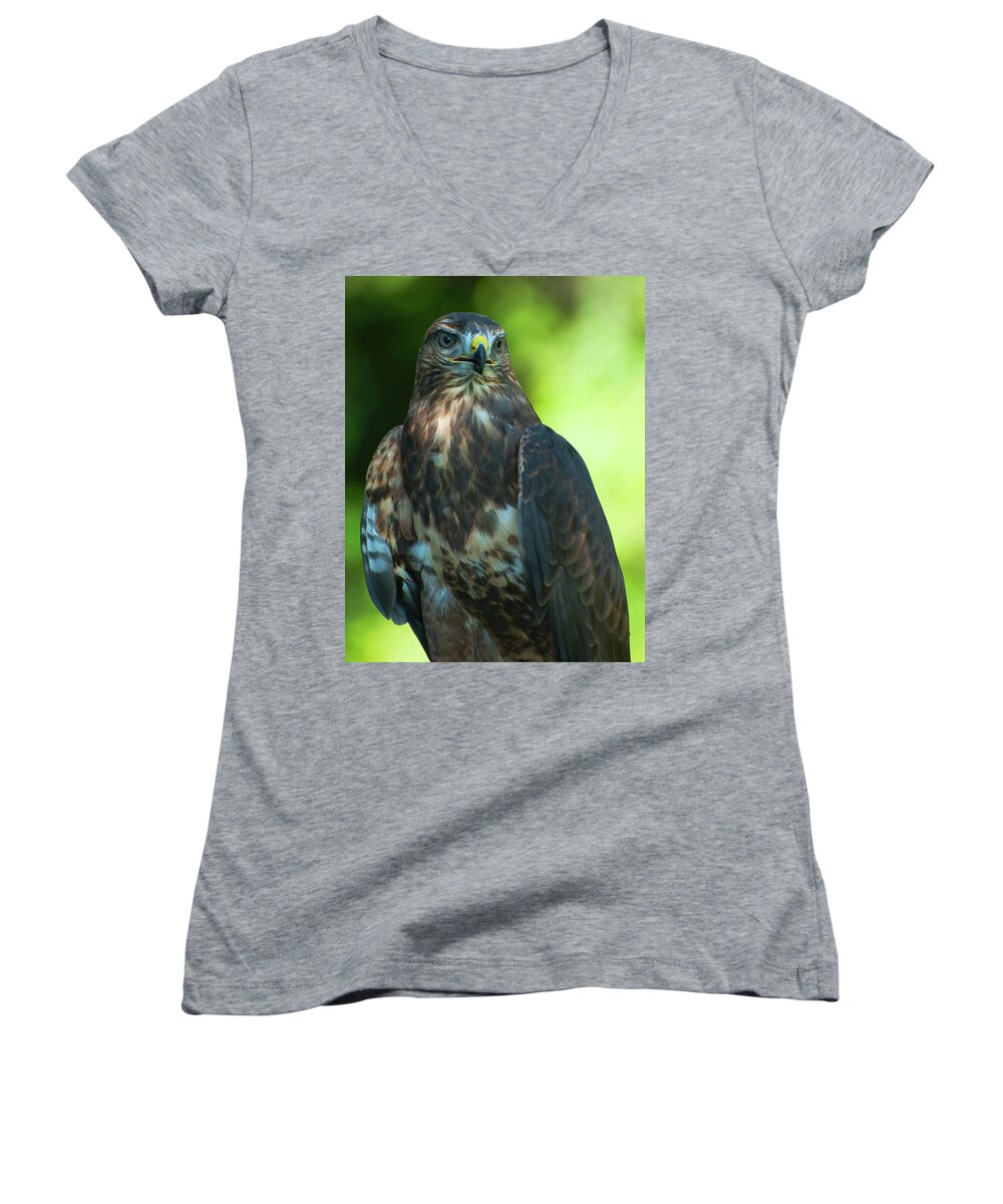 Hawk Women's V-Neck featuring the photograph Red Tailed Hawk #2 by Pat Exum