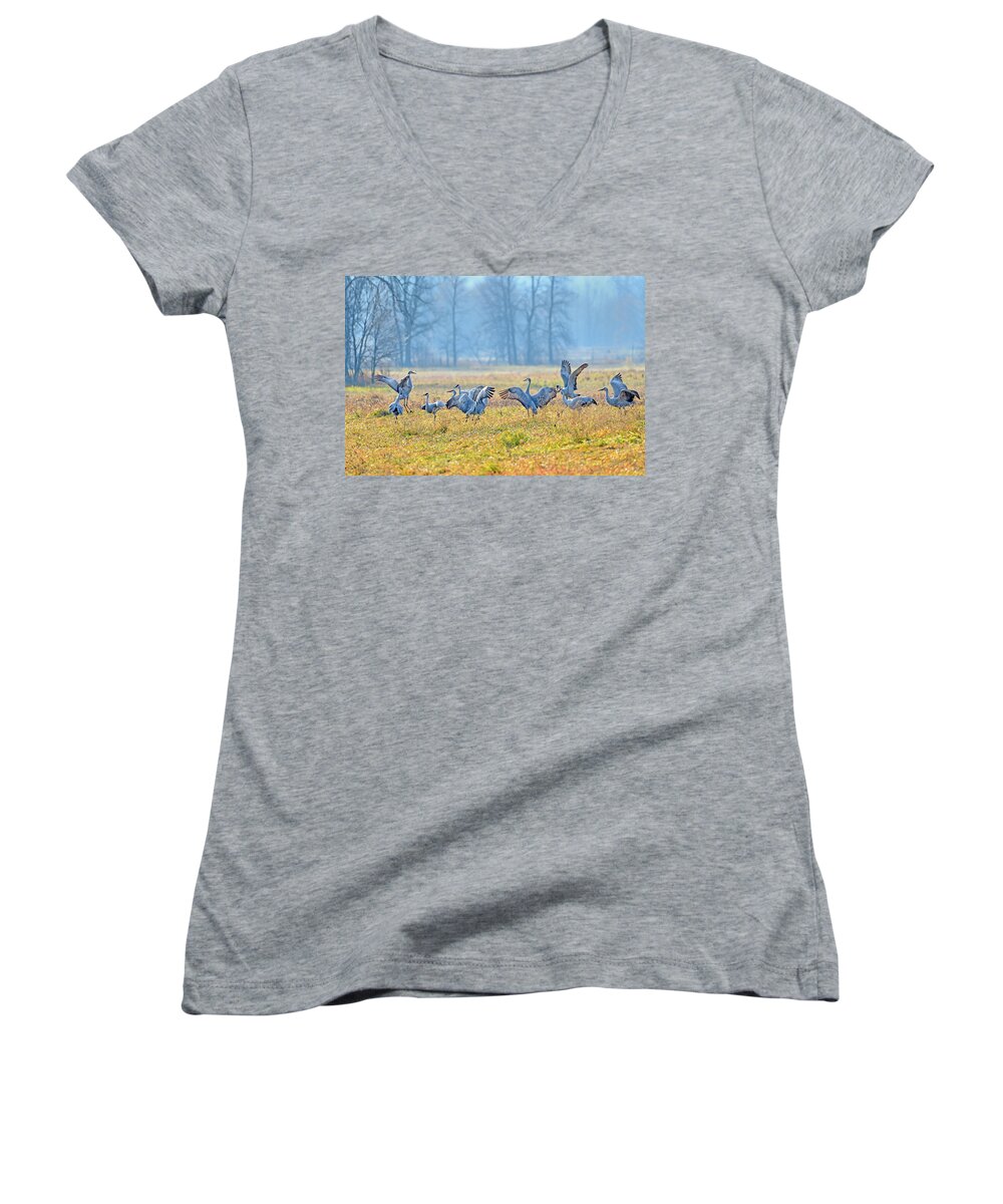 Sandhill Crane Women's V-Neck featuring the photograph Saturday Night #1 by Tony Beck