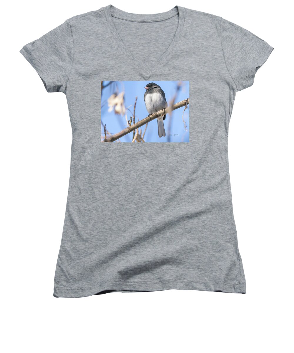 Slate-colored Junco Women's V-Neck featuring the photograph Slate-colored Junco #2 by Ed Peterson