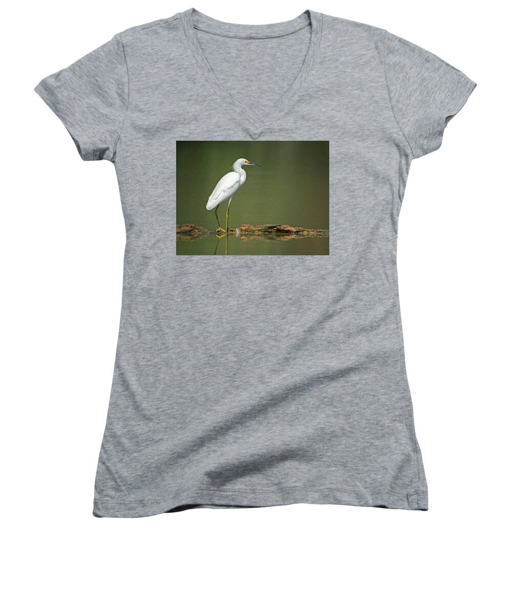 Snowy Women's V-Neck featuring the photograph Snowy Egret #49 by Tam Ryan
