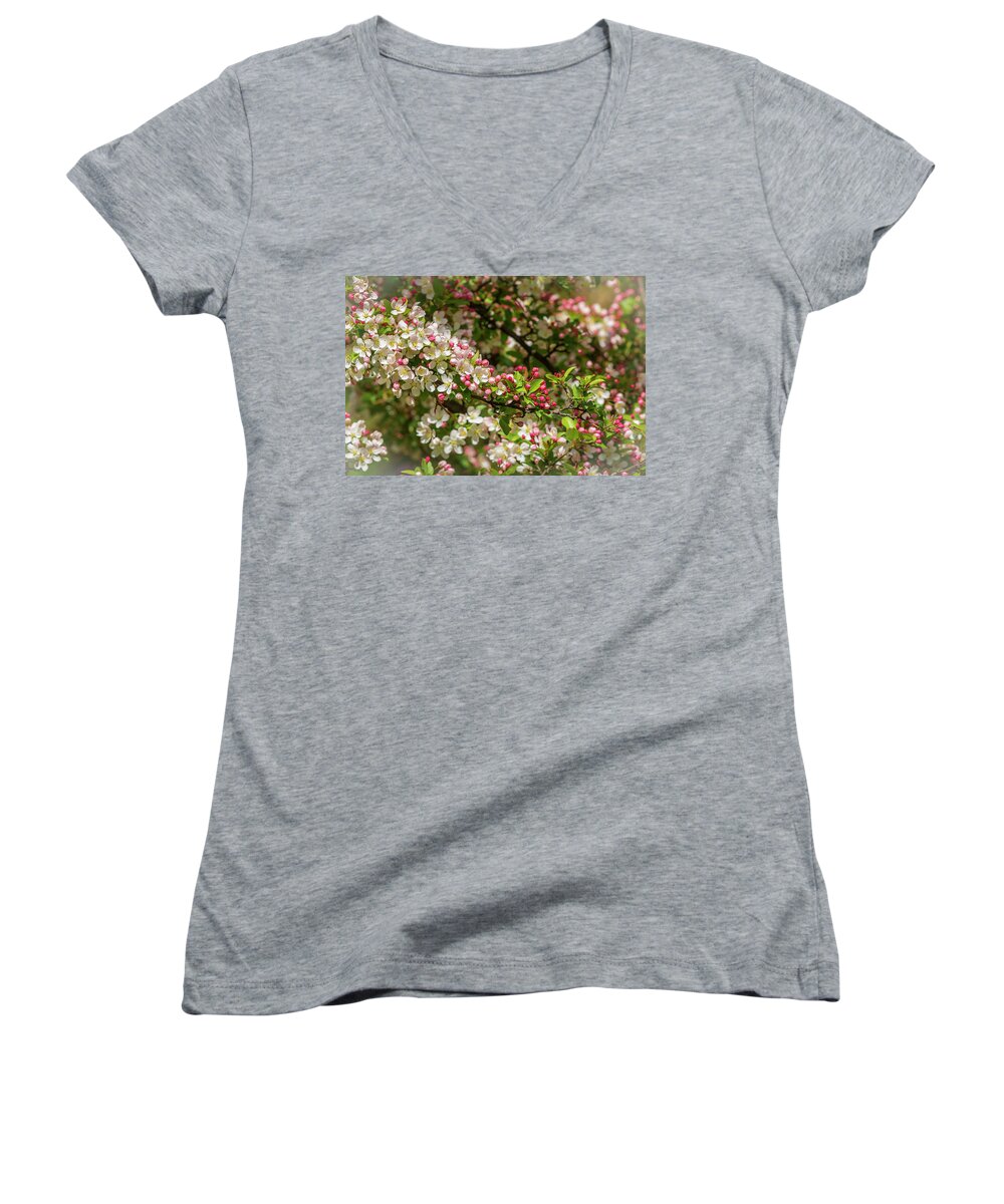 5dmkiv Women's V-Neck featuring the photograph Spring Blossoms #1 by Mark Mille