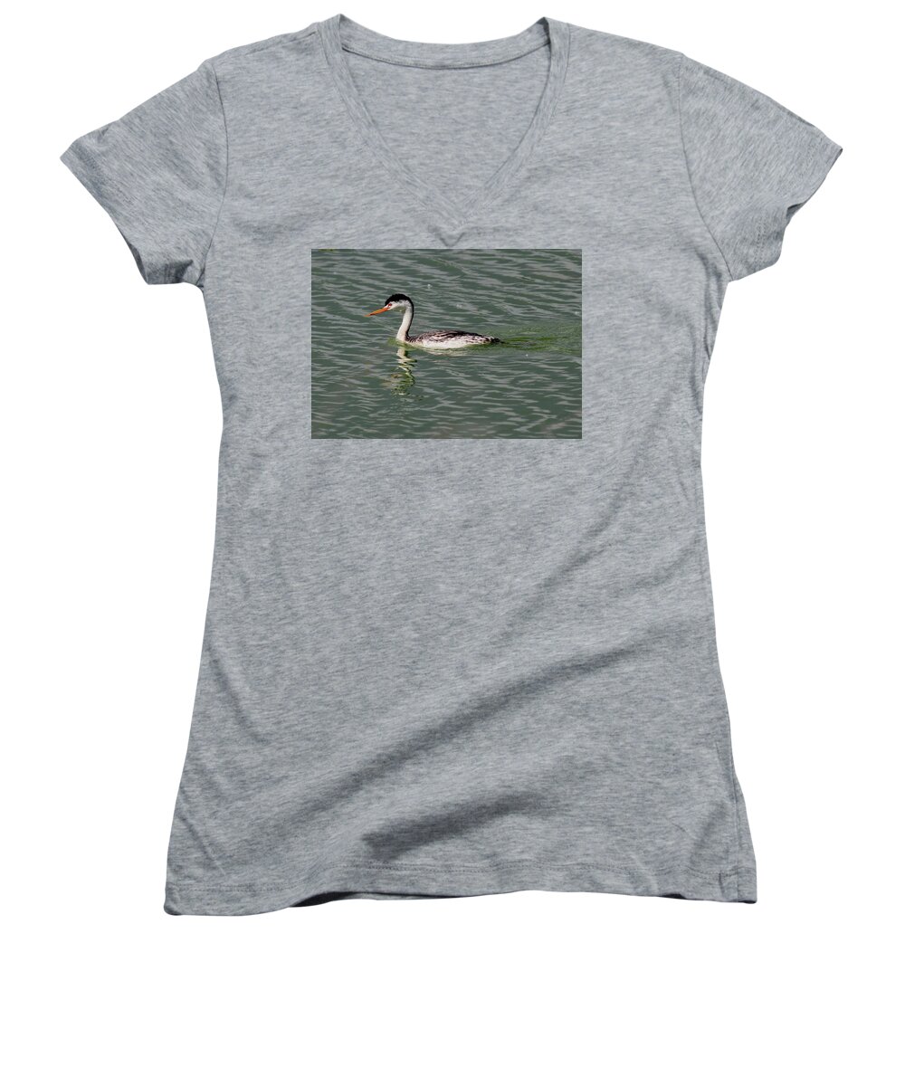 Western Women's V-Neck featuring the photograph Western Grebe #1 by Trent Mallett