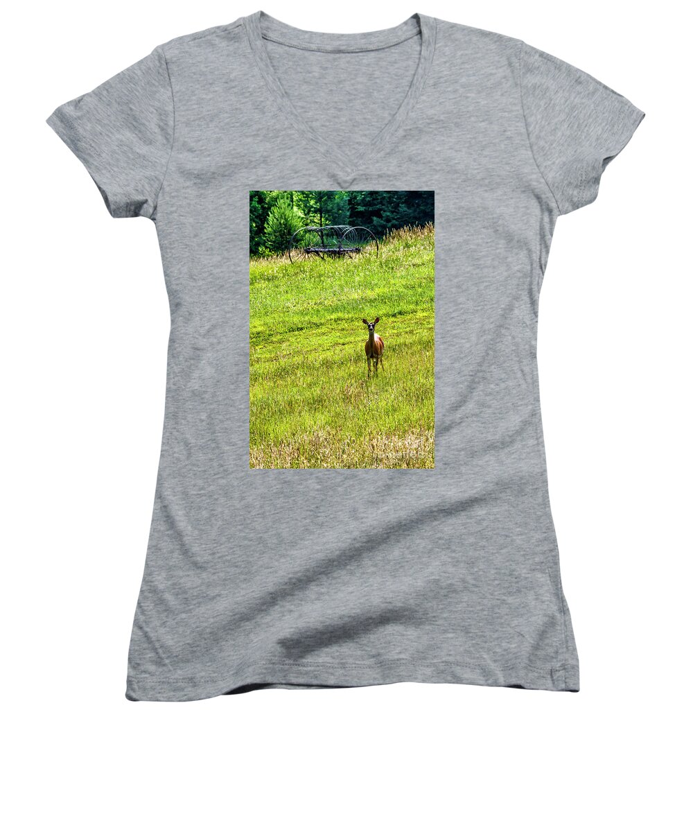 Whitetail Deer Women's V-Neck featuring the photograph Whitetail Deer and Hay Rake #1 by Thomas R Fletcher