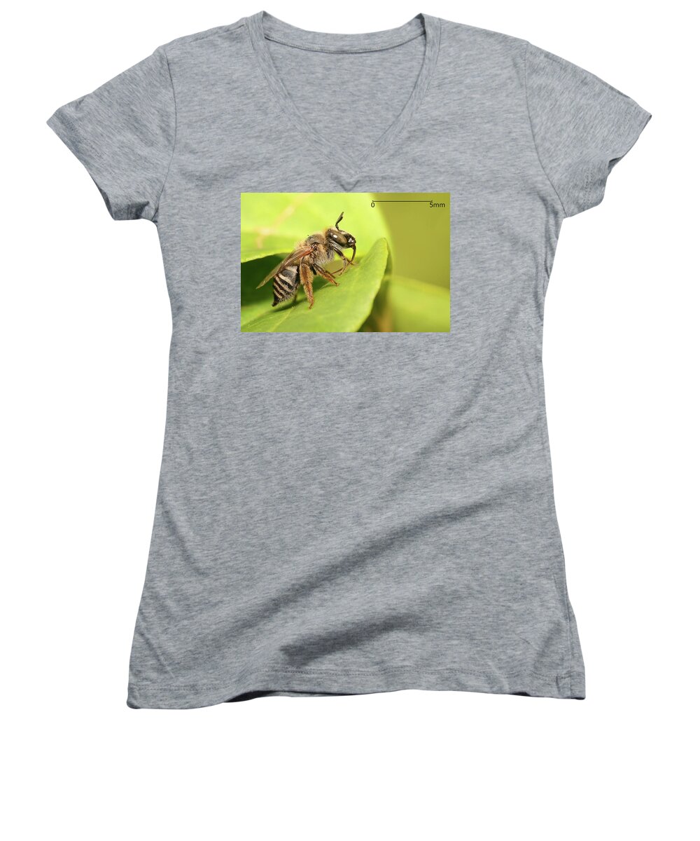 Bee Women's V-Neck featuring the photograph Bee #11 by Mariel Mcmeeking