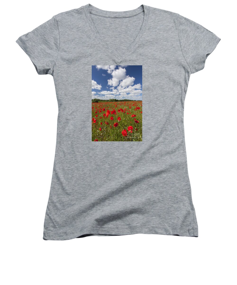 Common Poppy Women's V-Neck featuring the photograph 151124p076 by Arterra Picture Library