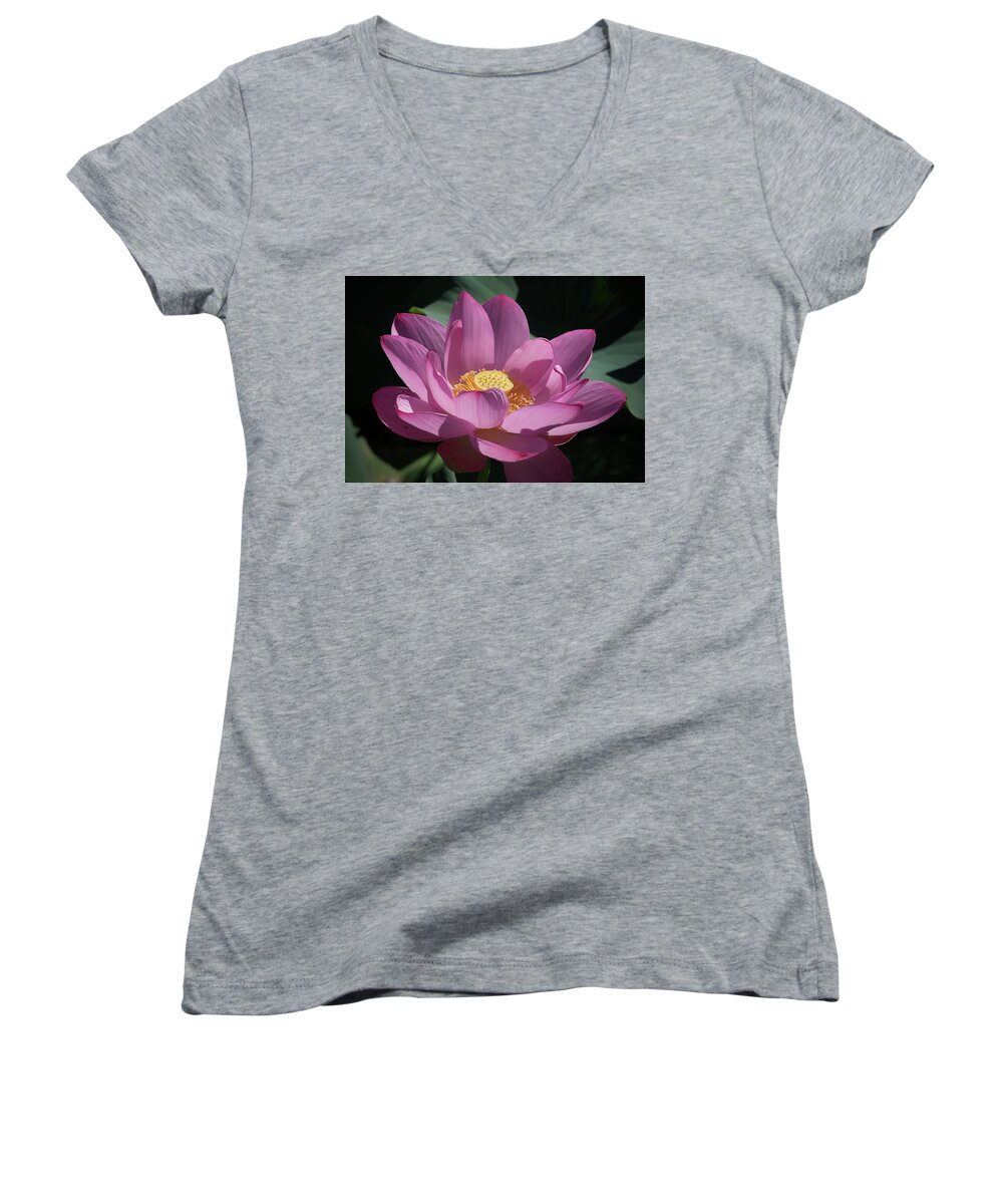 Pink Women's V-Neck featuring the photograph Pink Lotus Blossom #2 by Jack Nevitt