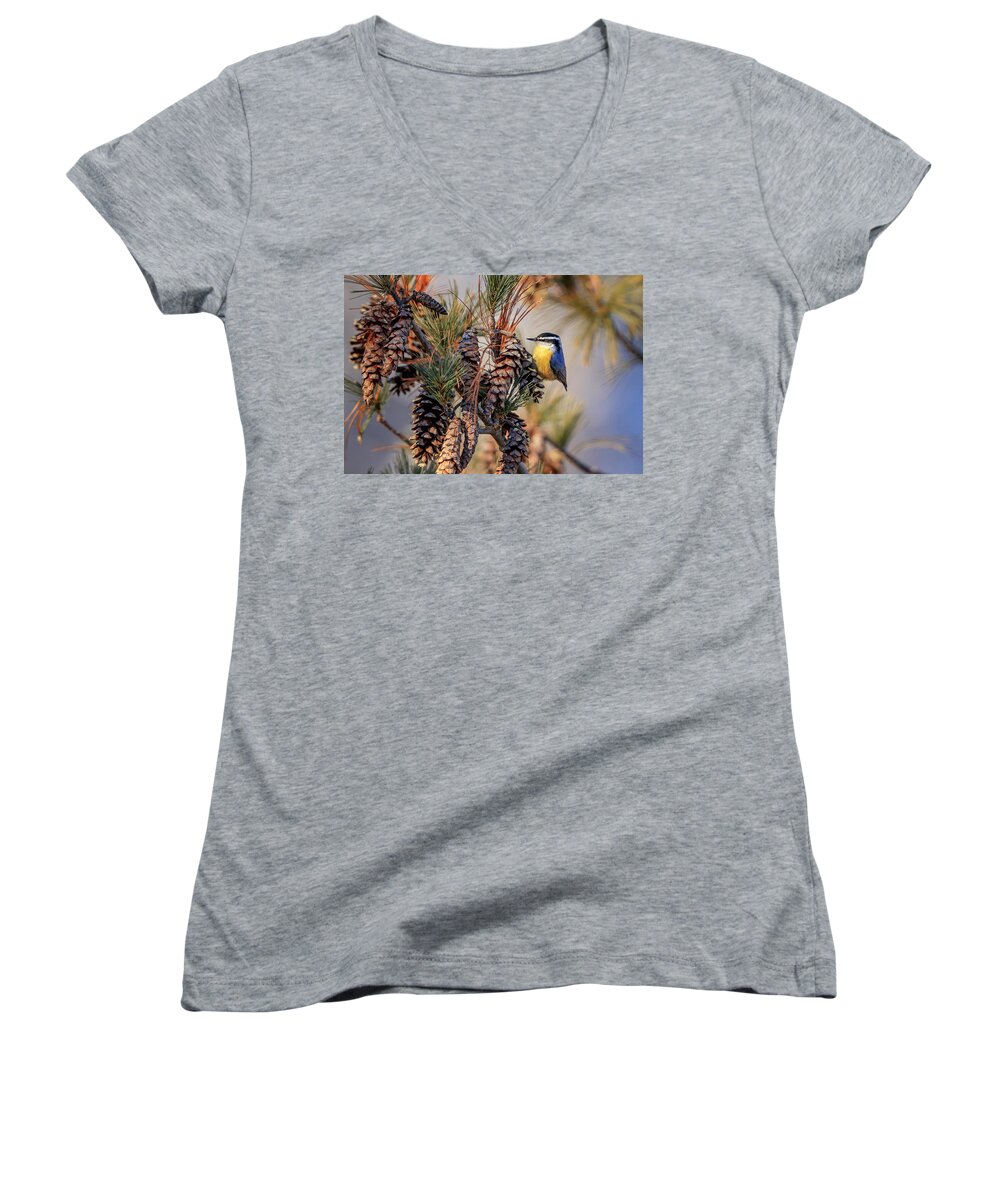 Adorable Women's V-Neck featuring the photograph Black-capped Chickadee #3 by Peter Lakomy