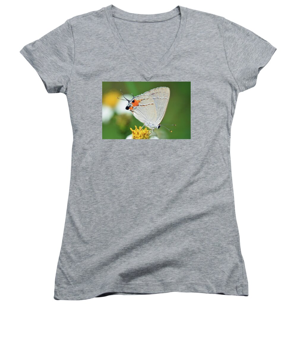 Photograph Women's V-Neck featuring the photograph Hairstreak #3 by Larah McElroy