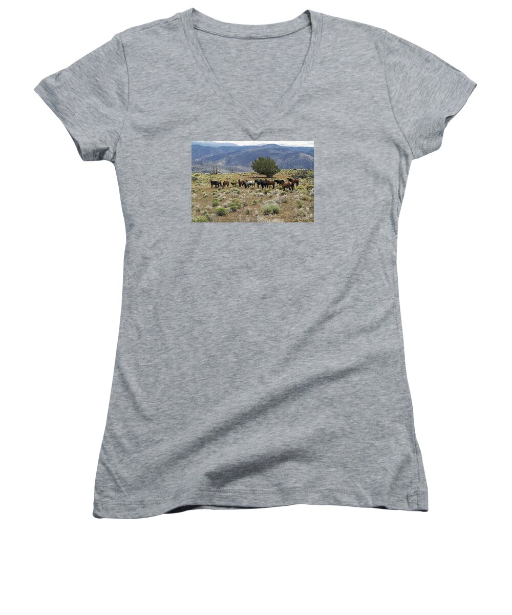Horses Women's V-Neck featuring the photograph Wild Mustang Horses #3 by Waterdancer 
