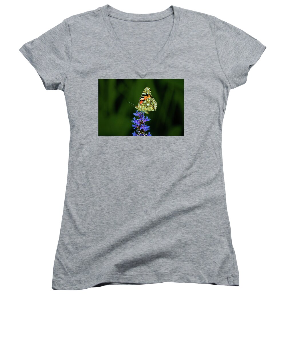 Jay Stockhaus Women's V-Neck featuring the photograph Butterfly #7 by Jay Stockhaus