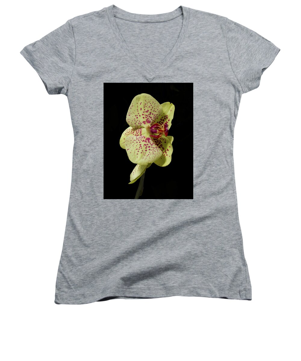 Flowers Women's V-Neck featuring the photograph Stunning Orchids #7 by David French