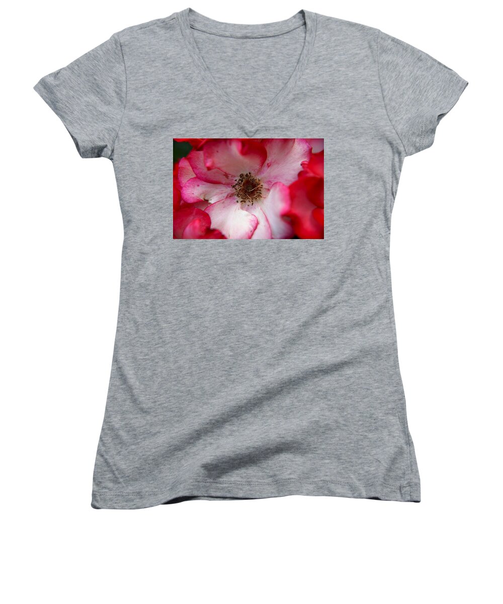 Flower Women's V-Neck featuring the photograph A bee's heaven by Giorgio Tuscani