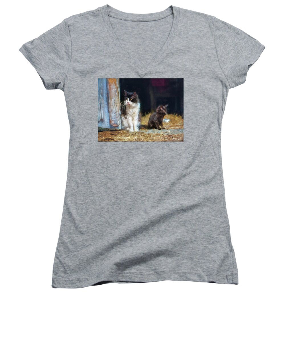 Cats Women's V-Neck featuring the photograph A day in the life of a barn cat by John Rivera
