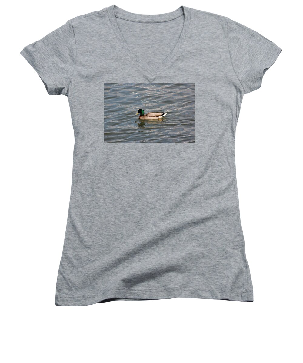 Wildlife River Duck Ducks Animal Waterfront Water Summer Day Virginia Usa Bird Us America U.s.a Oldtown Women's V-Neck featuring the digital art A Duck in the River by Jeanette Rode Dybdahl