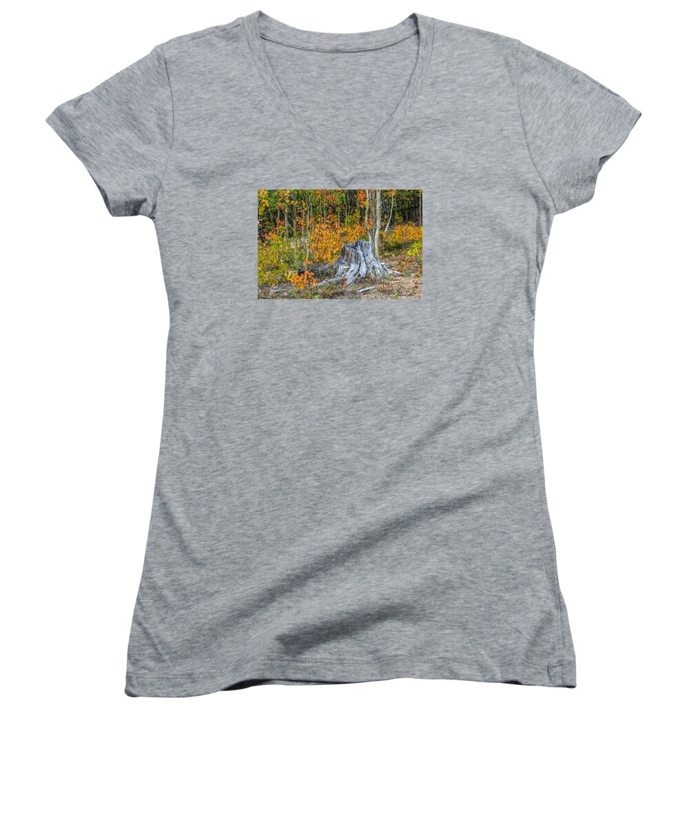 Aspen Women's V-Neck featuring the photograph A Forest of Color by Stephen Johnson
