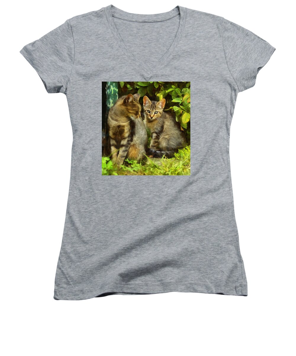 Cat Women's V-Neck featuring the digital art A Pair of Feral Cats by JGracey Stinson