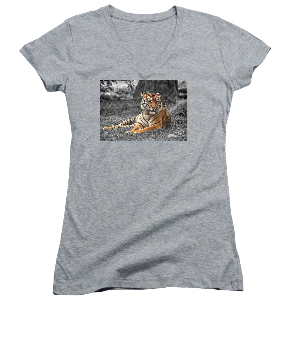 Large Tiger Approaching Women's V-Neck featuring the photograph A Tiger Relaxing on a Cool Afternoon II by Jim Fitzpatrick