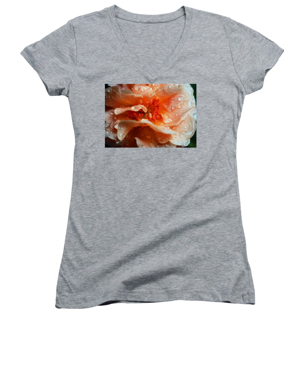 Rose Women's V-Neck featuring the photograph After The Rain by Lori Tambakis