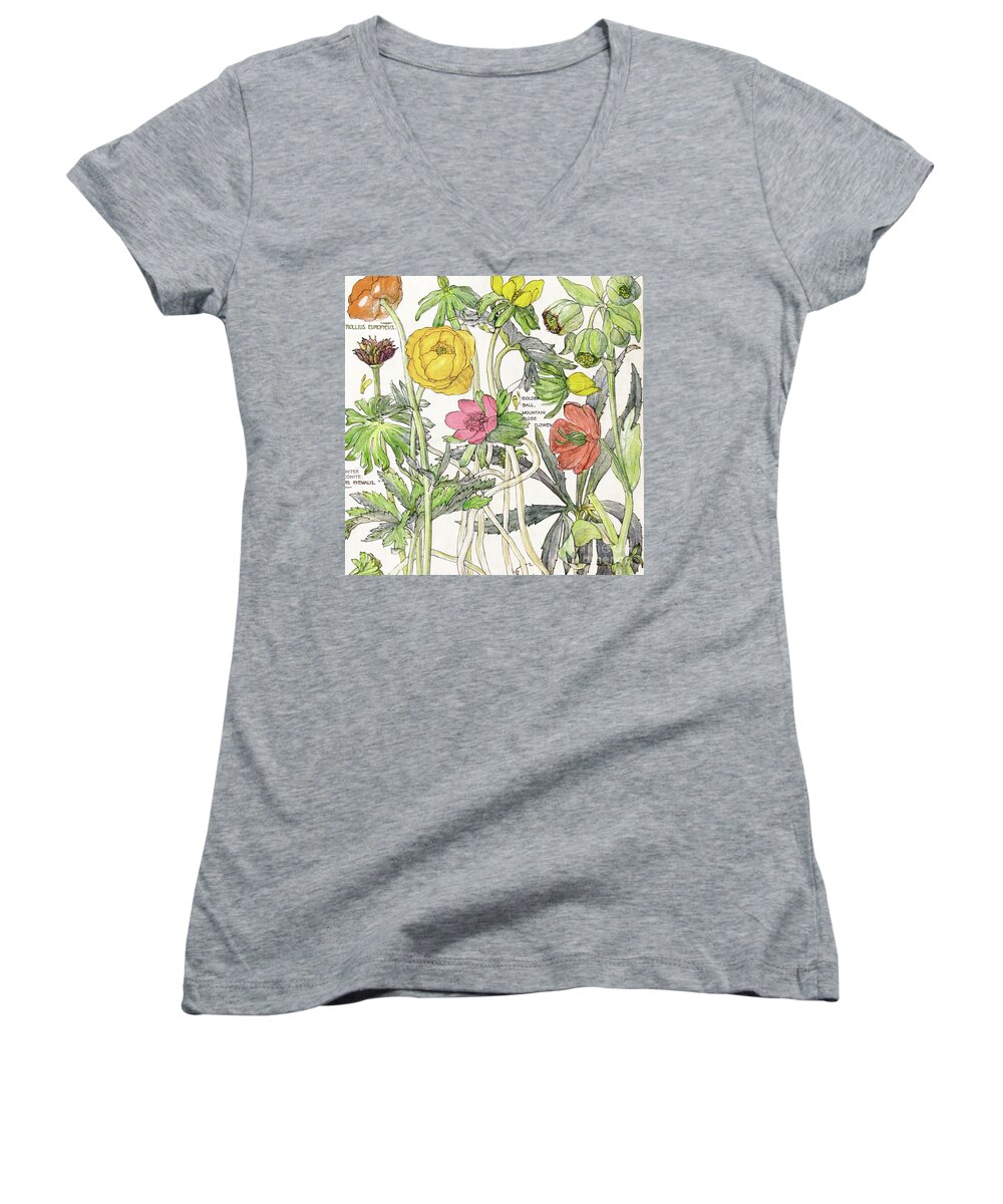 Flowers Women's V-Neck featuring the painting Ambrosia VI by Mindy Sommers