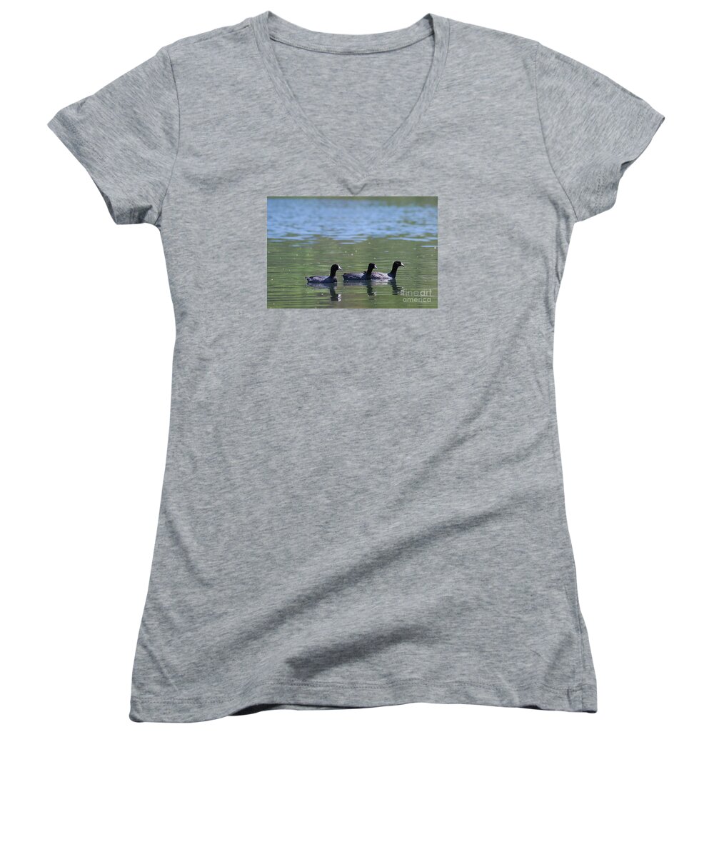 American Coot Women's V-Neck featuring the photograph American Coots 20120416_143a by Tina Hopkins