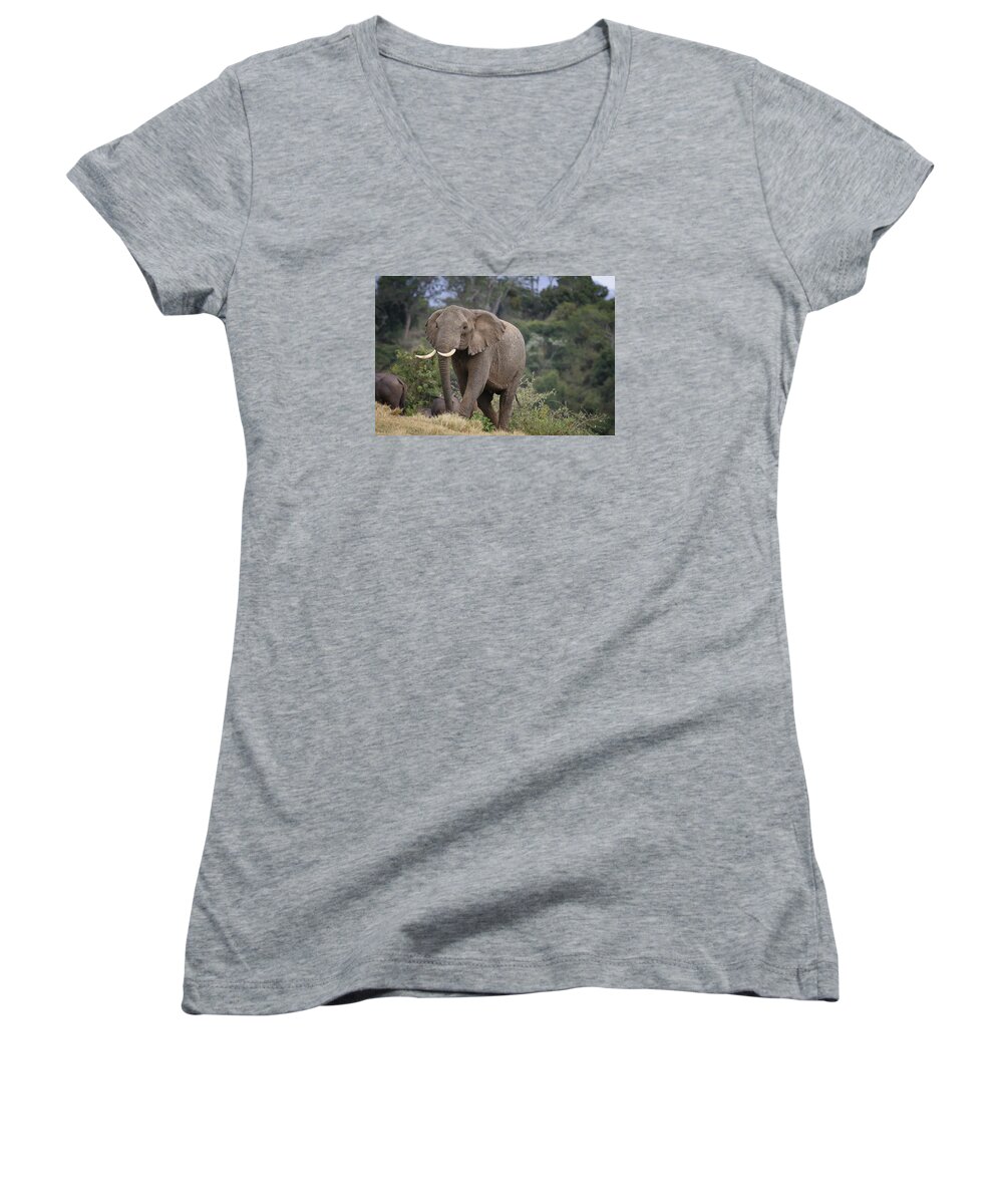 Gary Hall Women's V-Neck featuring the photograph Approaching the Waterhole by Gary Hall