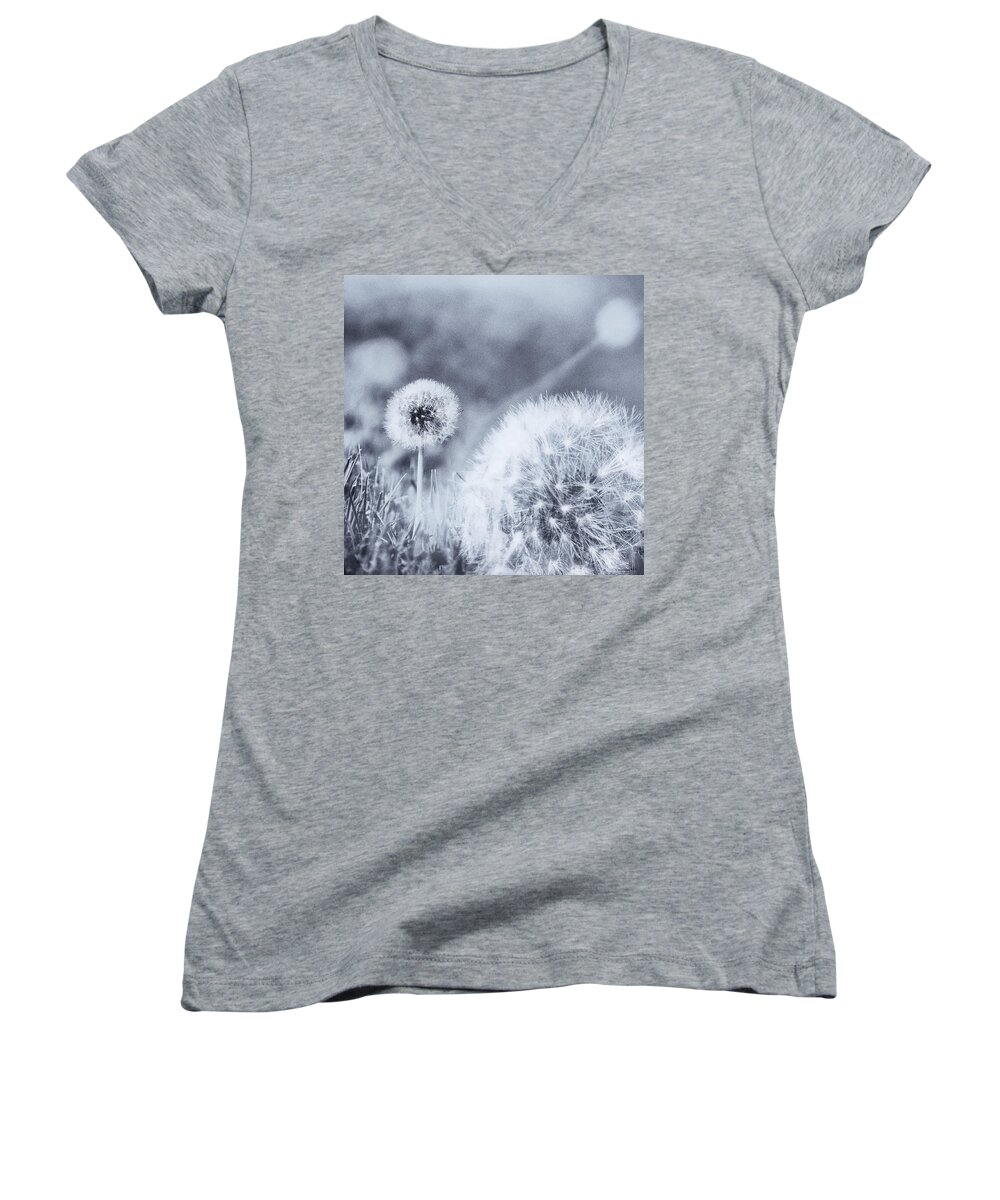 Dandelion Women's V-Neck featuring the photograph Around The Meadow 2 by Jaroslav Buna