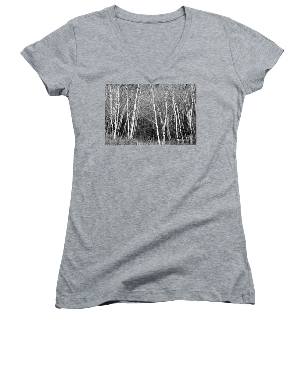 Aspen Women's V-Neck featuring the photograph Aspen Forest Black and White Print by James BO Insogna