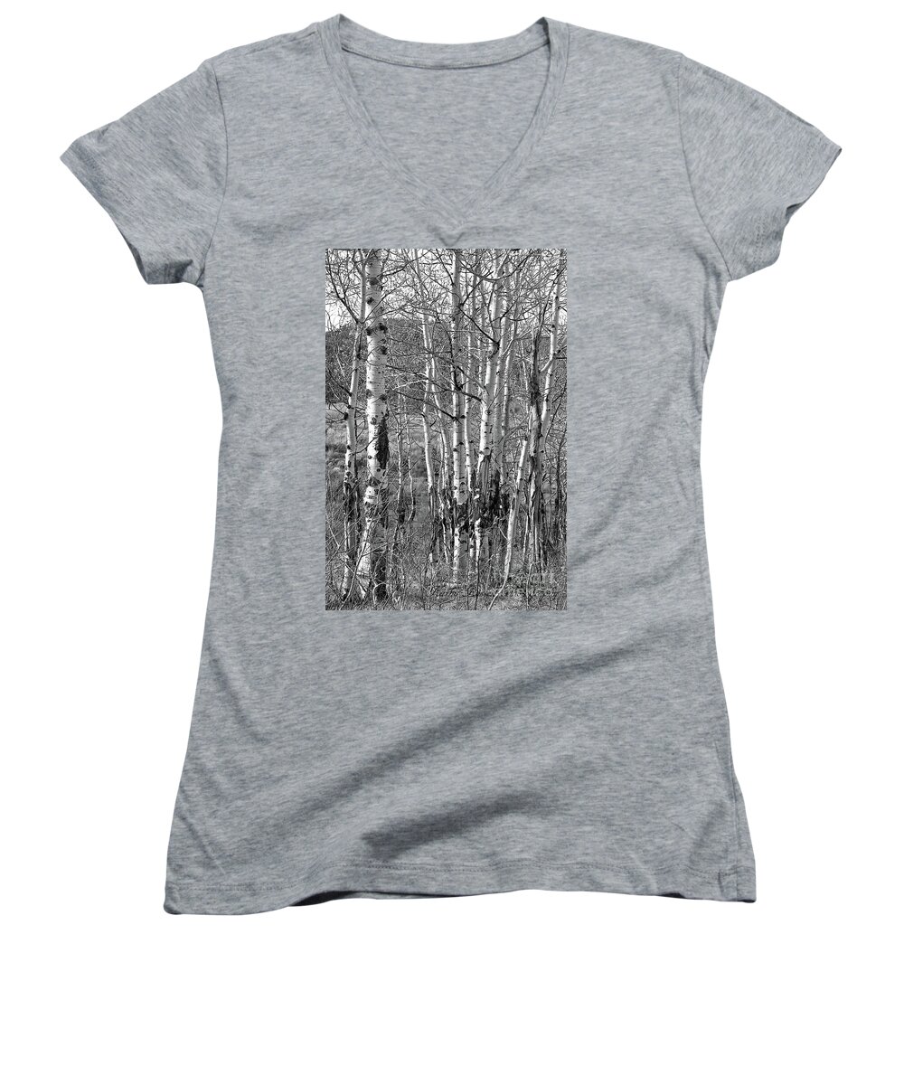 Aspens Women's V-Neck featuring the photograph Aspens by Kathy Russell