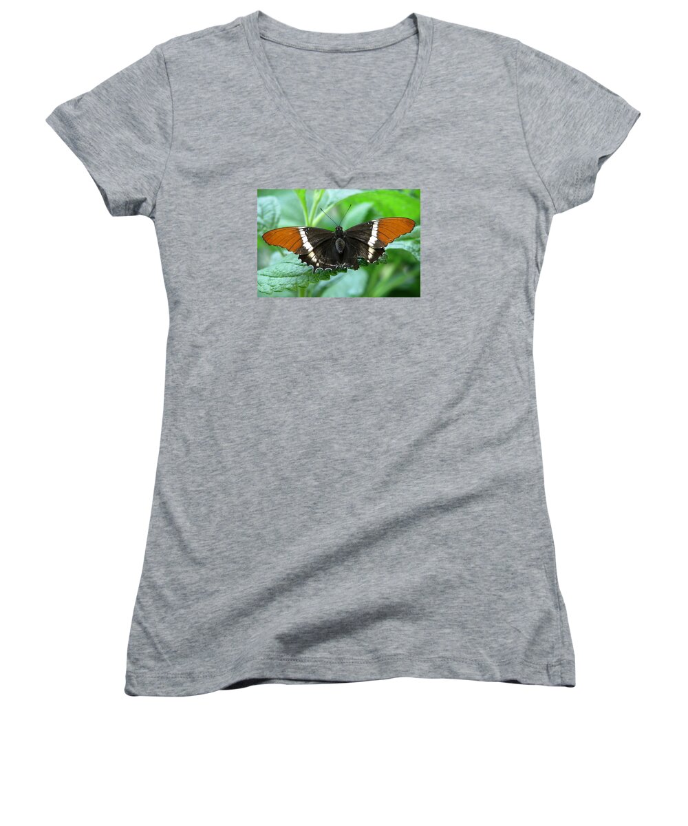 Butterflies Women's V-Neck featuring the photograph At Rest by Angela Davies