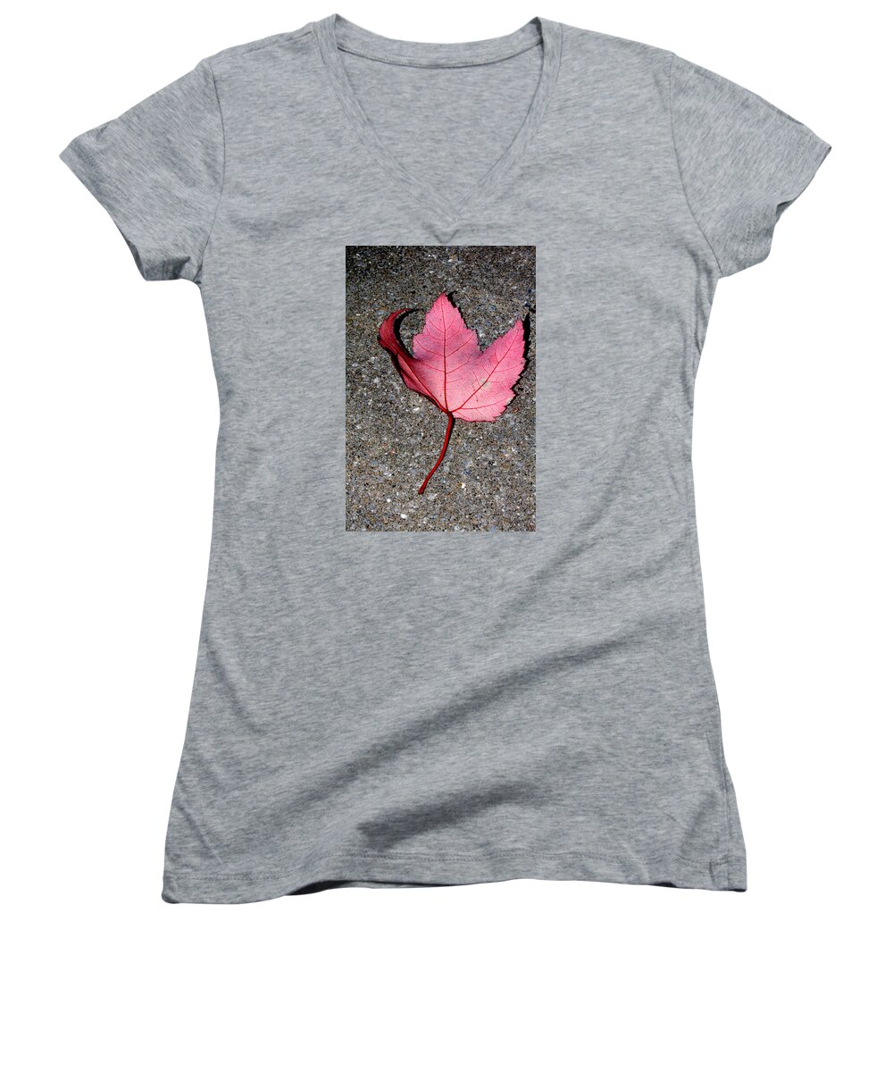 Nature Women's V-Neck featuring the photograph Autum Maple Leaf 2 by Robert Morin