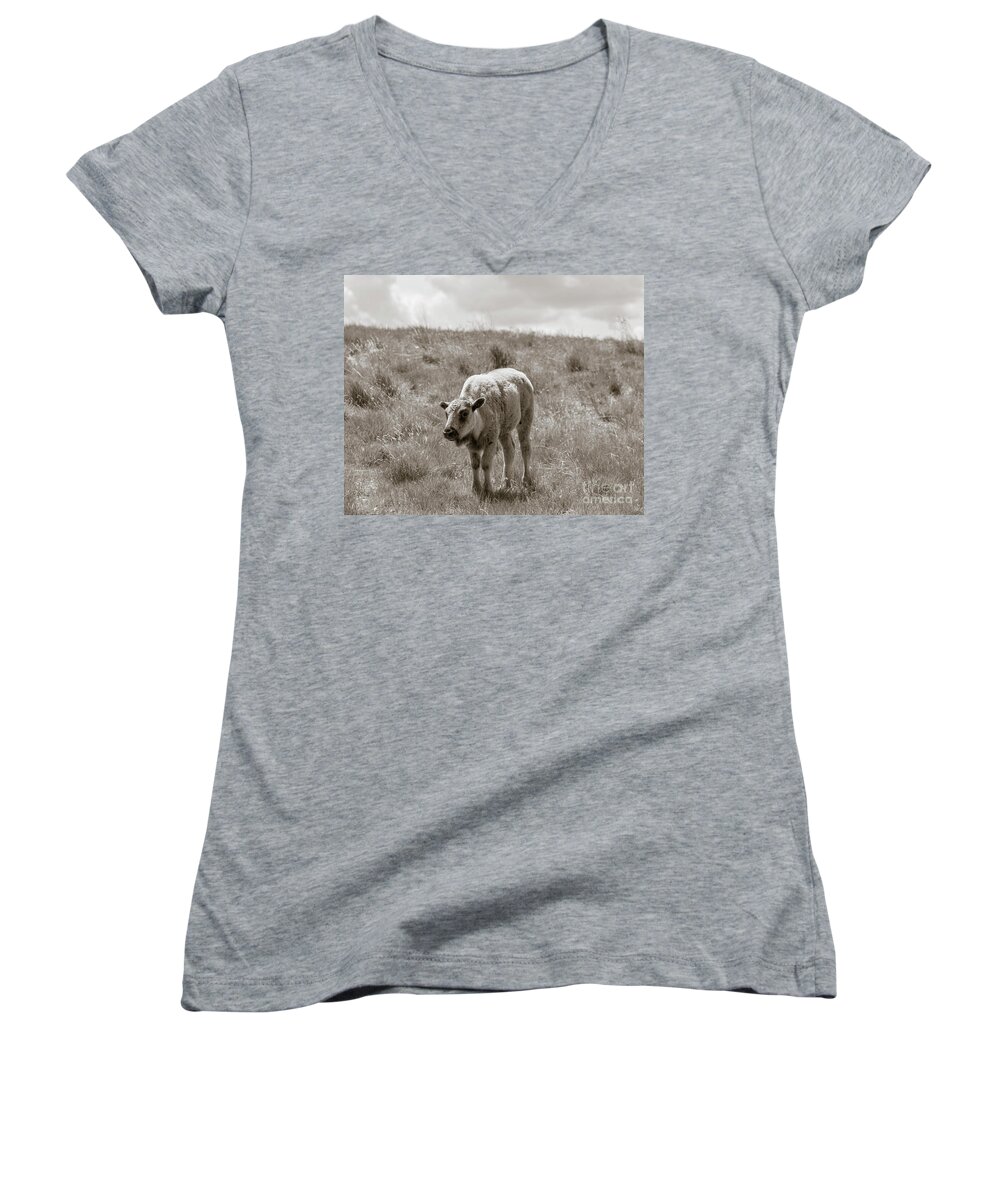 Buffalo Women's V-Neck featuring the photograph Baby buffalo in field with sky by Rebecca Margraf