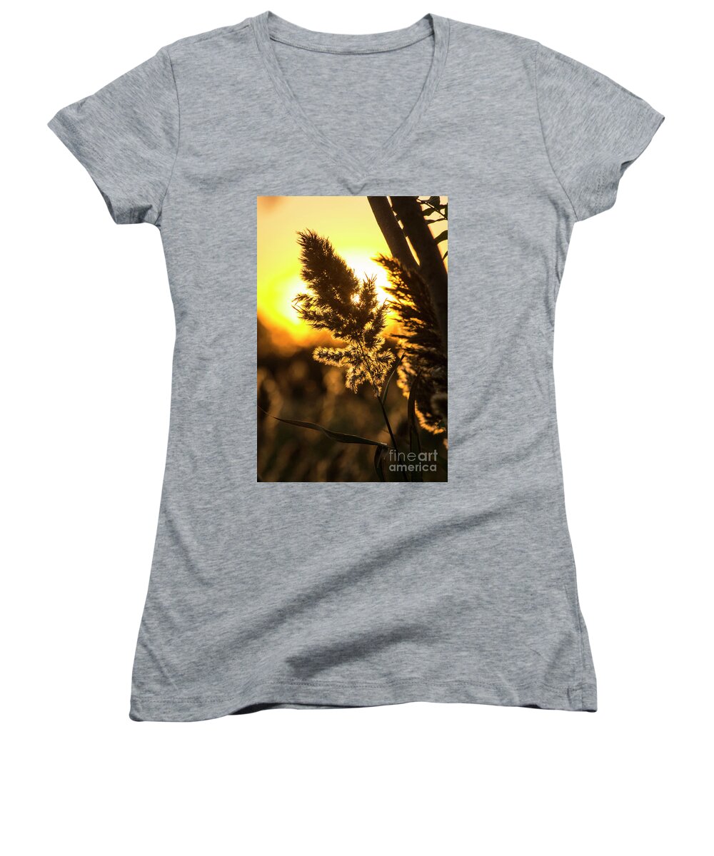 Plants Women's V-Neck featuring the photograph Backlit by the Sunset by Zawhaus Photography