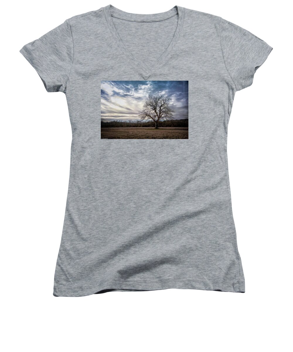 Tree Women's V-Neck featuring the photograph Baron Tree of Winter by G Lamar Yancy