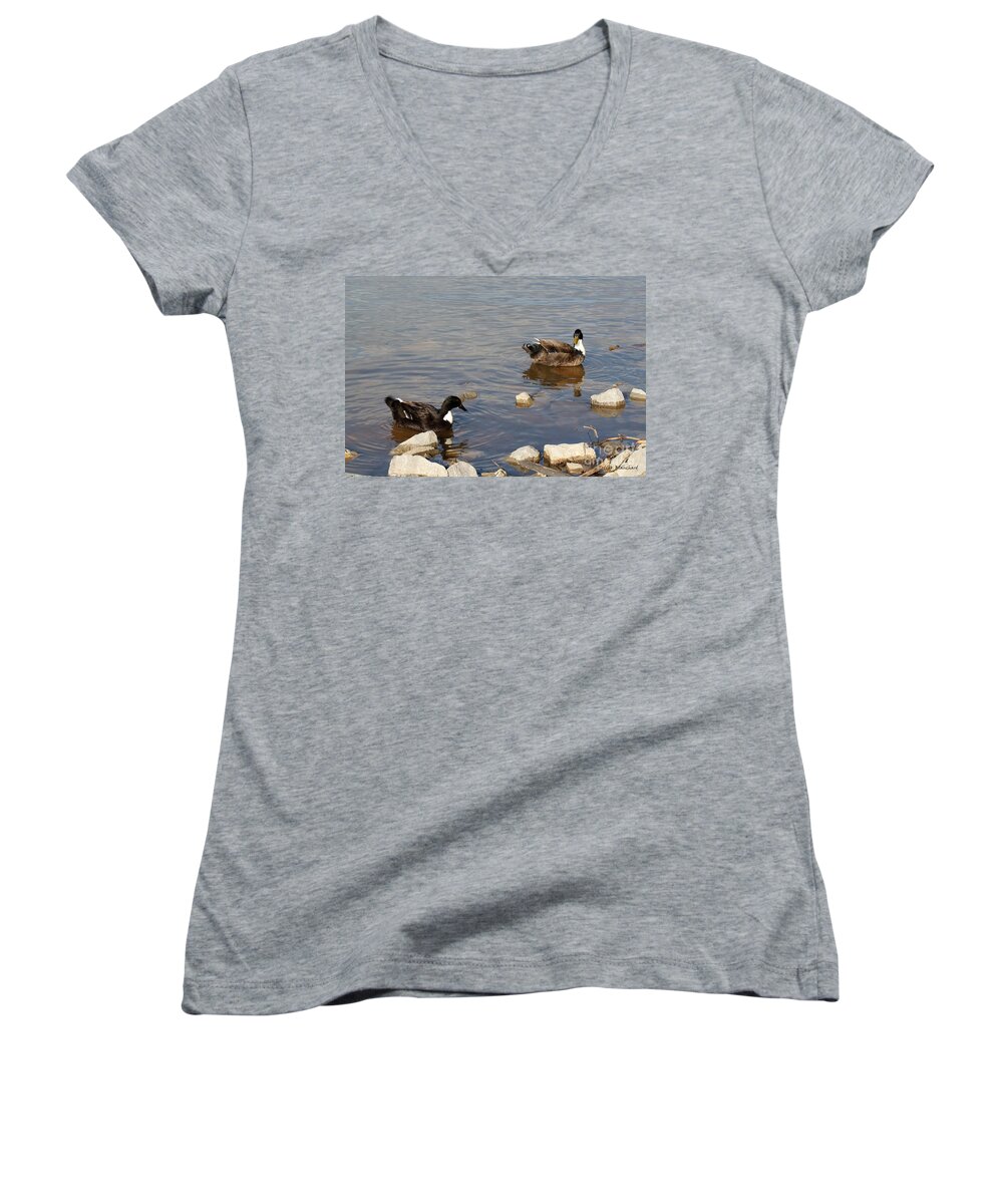 Seascape Women's V-Neck featuring the photograph Beautiful Ducks by Todd Blanchard