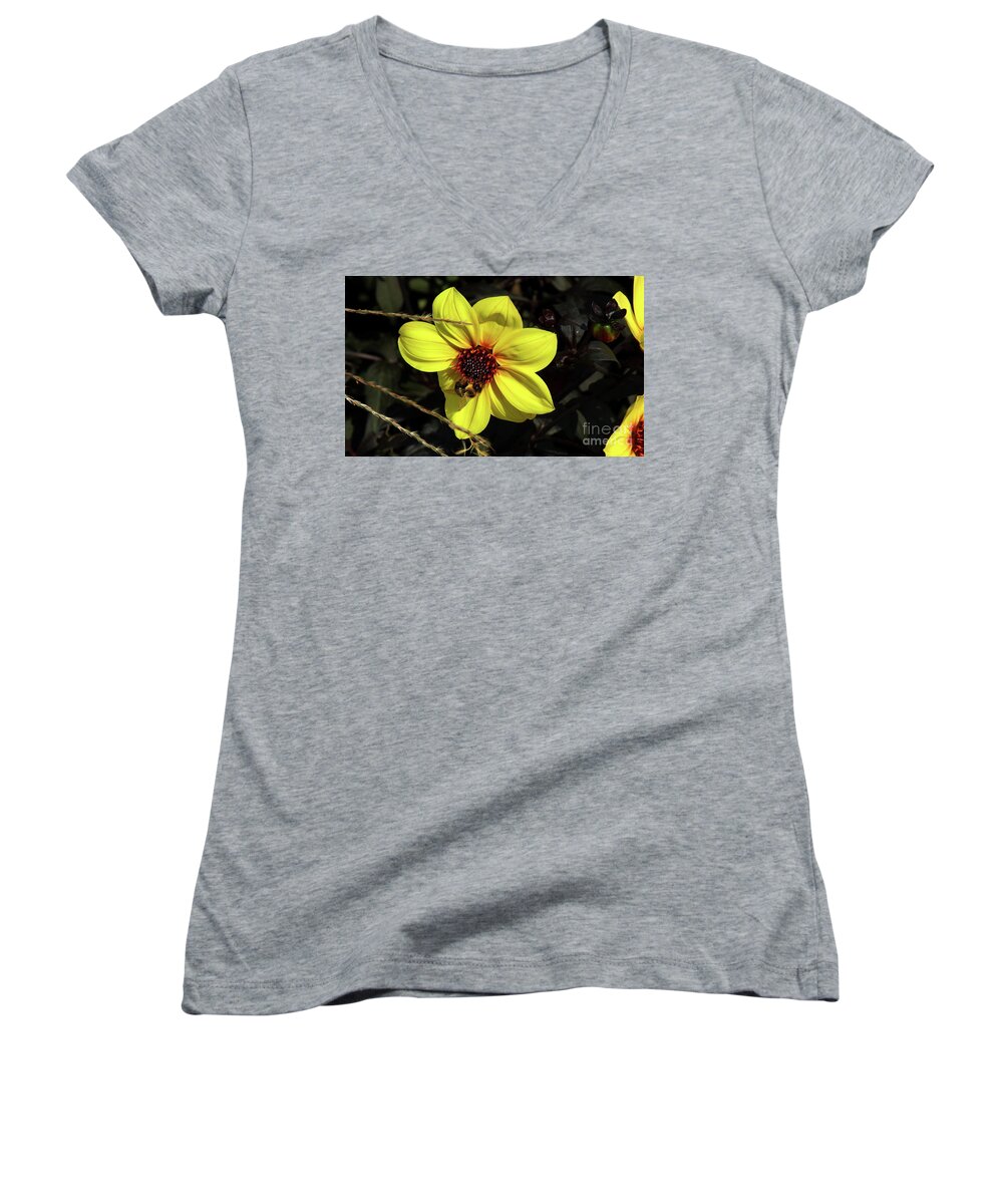 Flower Women's V-Neck featuring the photograph Bee at Work by Les Greenwood