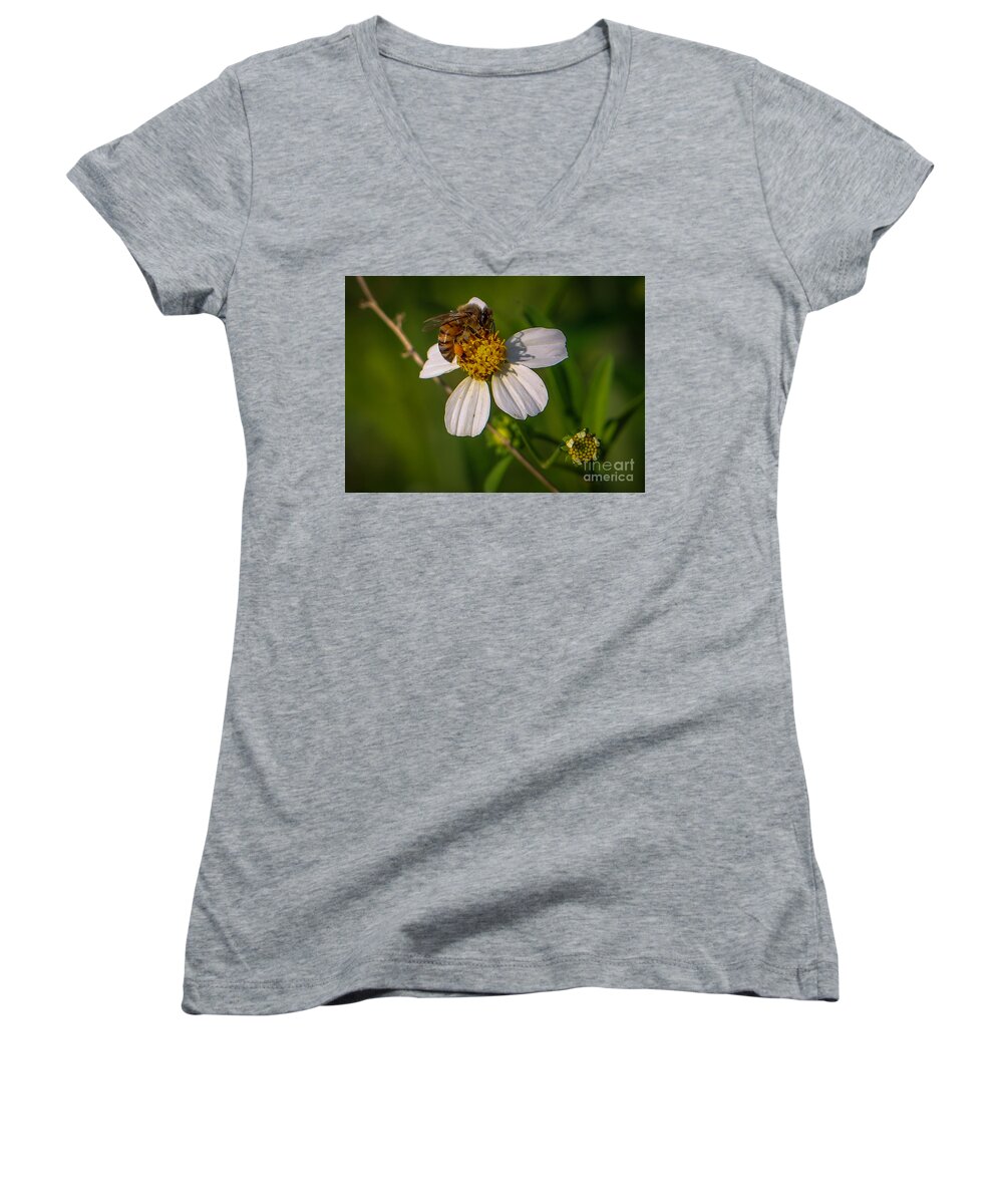 Bee Women's V-Neck featuring the photograph Bee at Work by Tom Claud