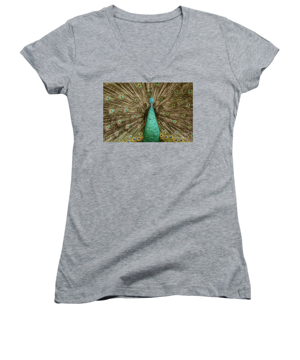 Bird Women's V-Neck featuring the photograph Peacock by Werner Padarin
