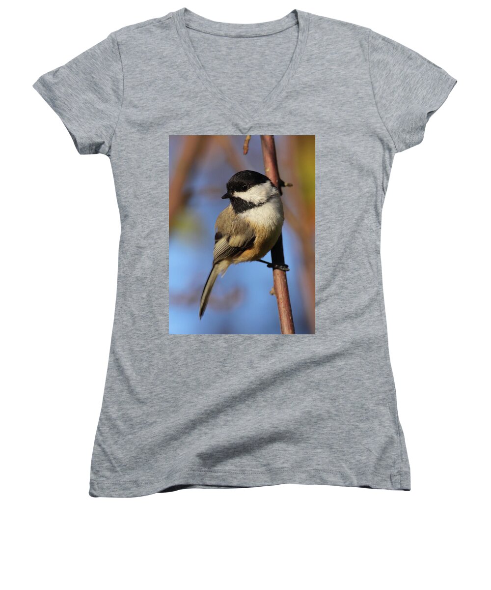 Chickadee Women's V-Neck featuring the photograph Black-capped Chickadee by Bruce J Robinson