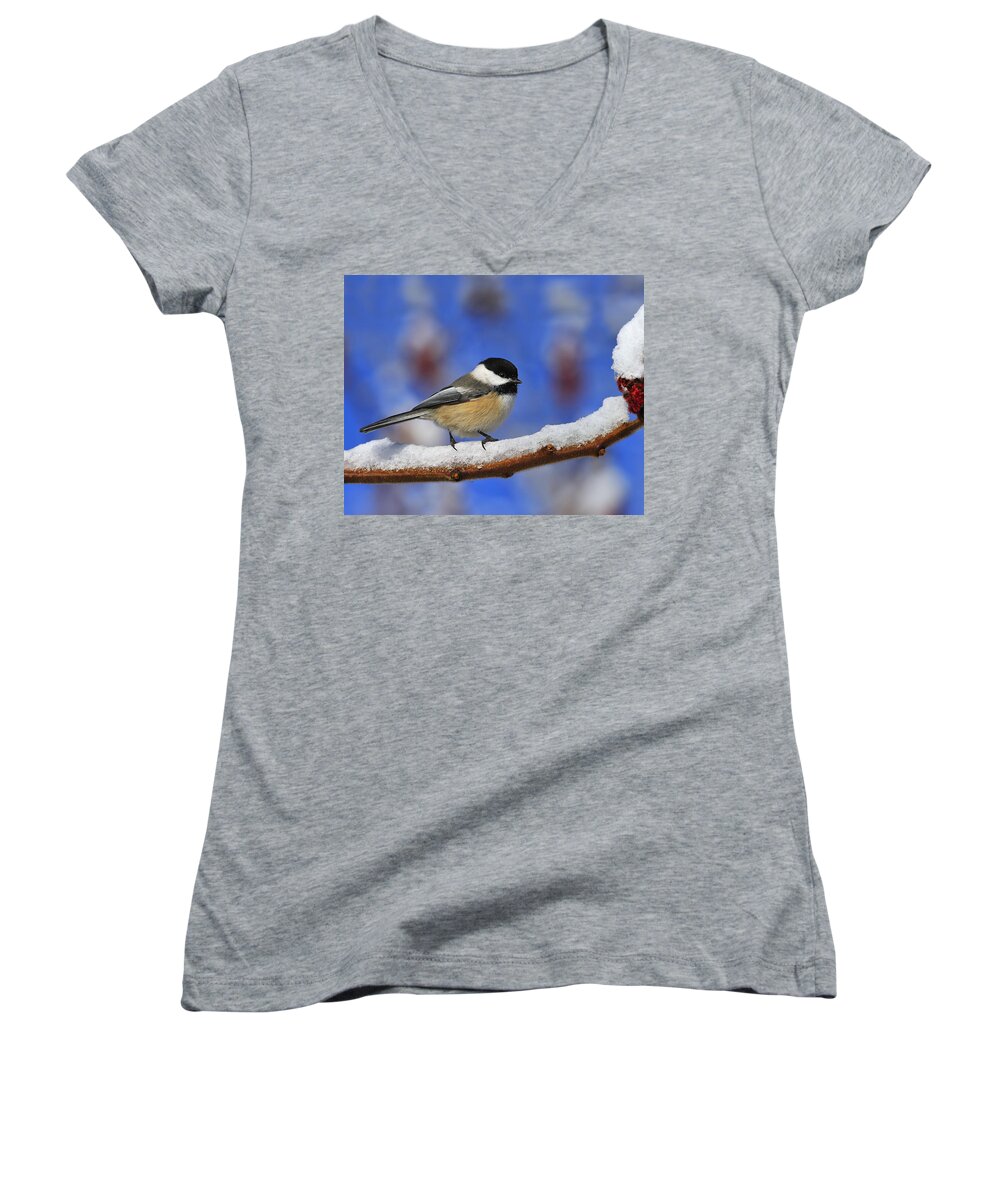 Staghorn Sumac Women's V-Neck featuring the photograph Black-capped Chickadee in Sumac by Tony Beck