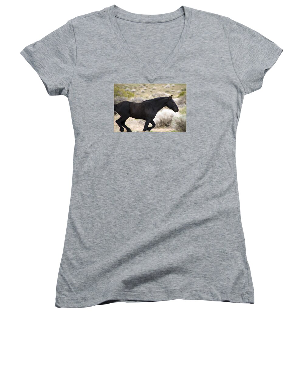 Horses Women's V-Neck featuring the photograph Black Mustang Stallion running like the wind. by Waterdancer