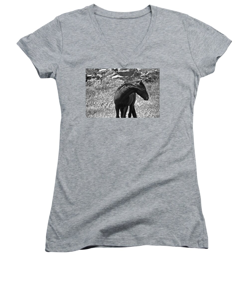 Horses Women's V-Neck featuring the photograph Black Wild Mustang by Waterdancer