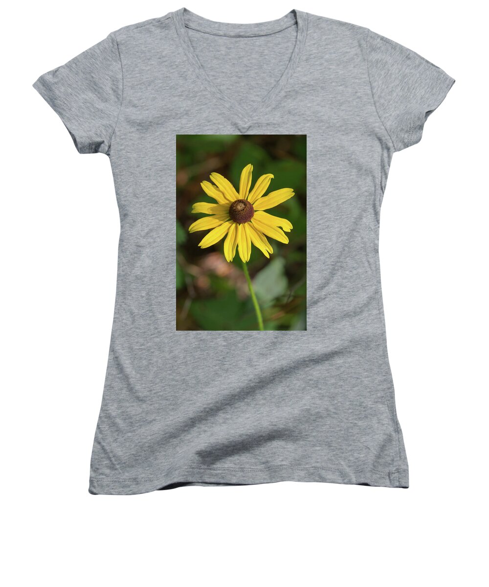 Blackeyed Susan Women's V-Neck featuring the photograph Blackeyed Susan by Paul Rebmann