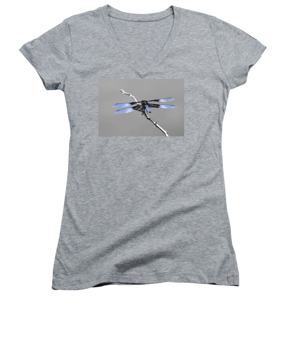 Bugs Women's V-Neck featuring the photograph Blue Dragon by Cindy Manero
