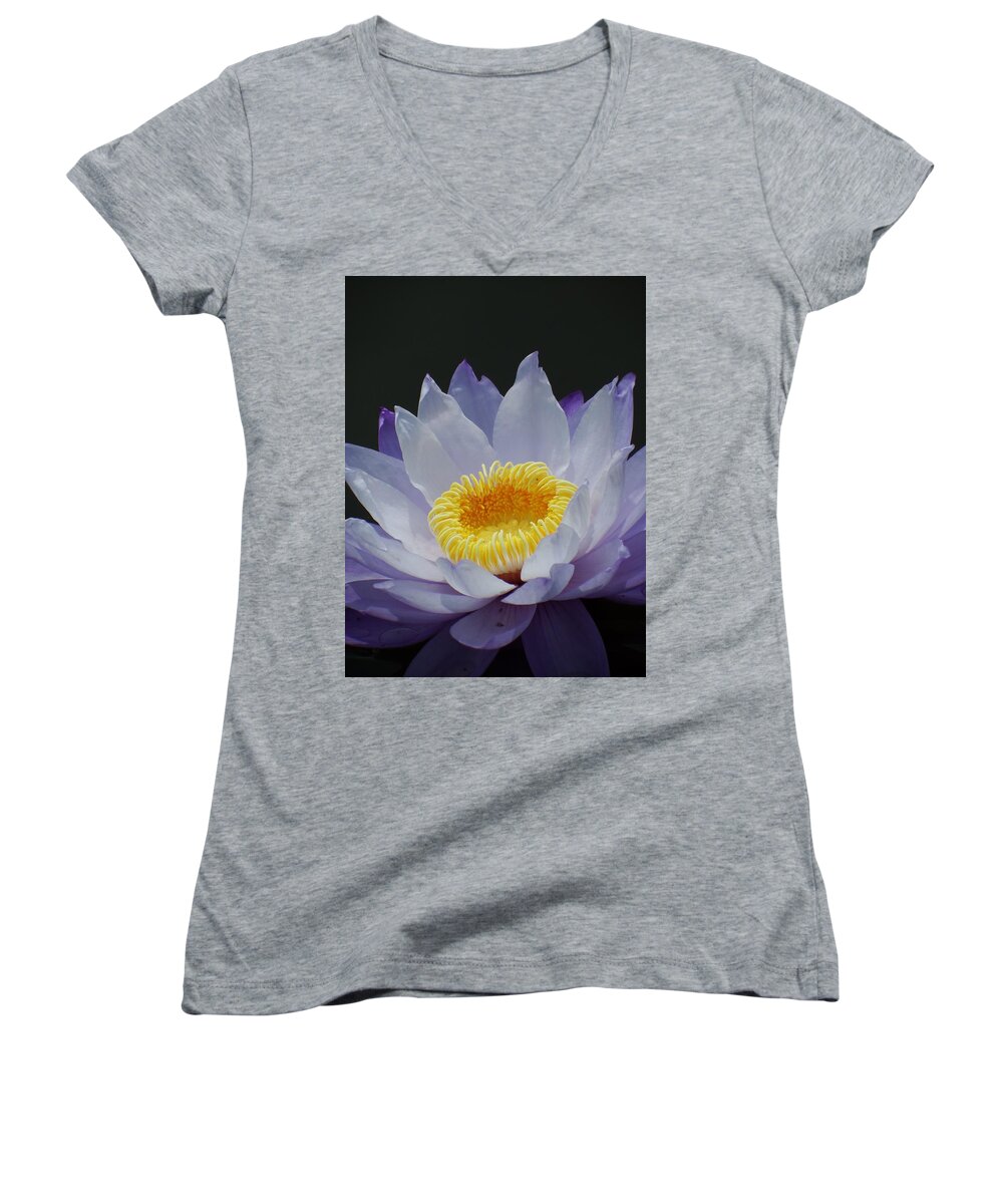 Scoobydrew81 Andrew Rhine Flower Flowers Bloom Blooms Macro Petal Petals Close-up Closeup Nature Botany Botanical Floral Flora Art Color Soft Black Contrast Simple Clean Crisp Spring Blue Water Lilly Yellow Pond Tropical Women's V-Neck featuring the photograph Blue Water Lilly 1 by Andrew Rhine