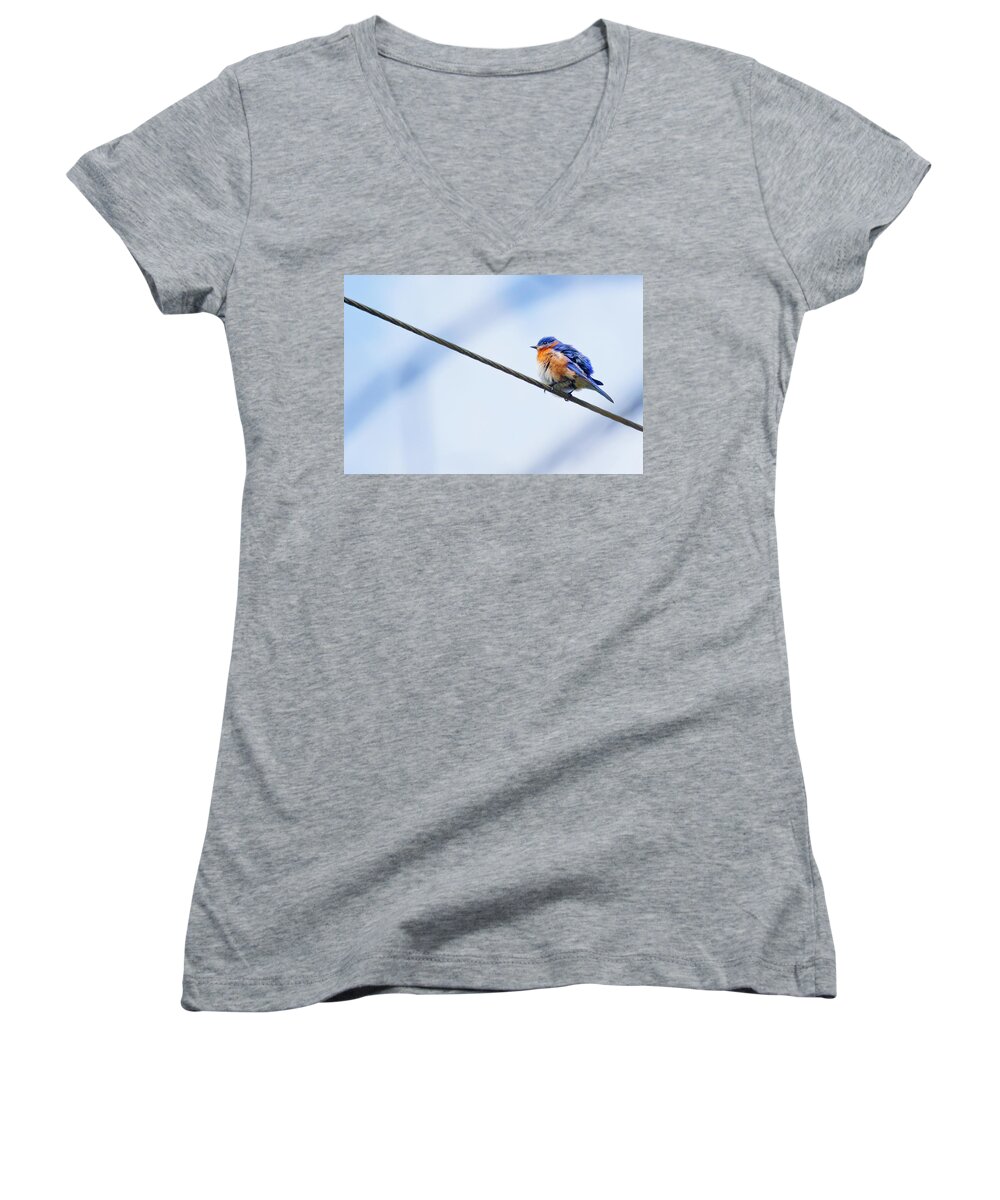 Bluebird Women's V-Neck featuring the photograph Bluebird of Happiness by Linda Unger